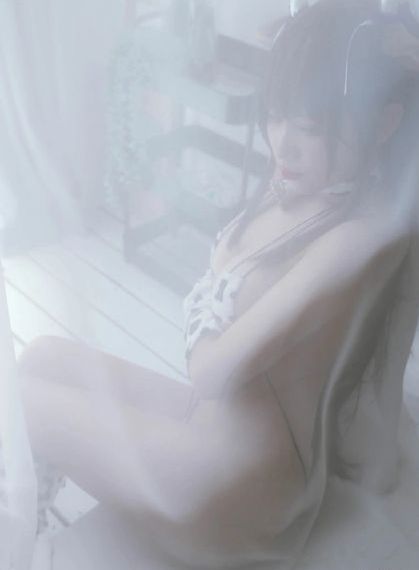 灰姑娘与四名骑士