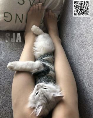 成品视频网站