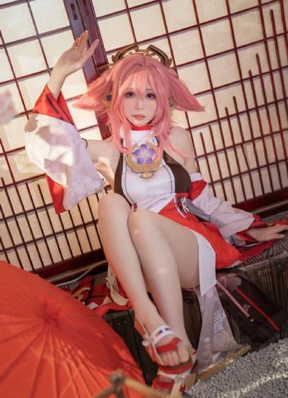 完美伴侣