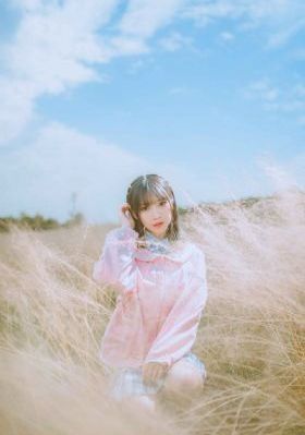 妻子的谎言电视剧