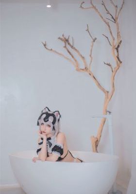 绝密543全集免费的完整版